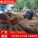 佛山高明專注電纜回收廢舊電纜線回收公司現款結算