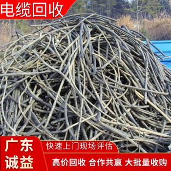 廣州開發(fā)區(qū)專注電線電纜回收-廣州開發(fā)區(qū)工廠剩余電纜回收公司