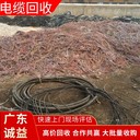 江門市電纜回收價格專注電纜回收價格