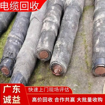 佛山南海舊電纜回收公司-現(xiàn)款結(jié)算