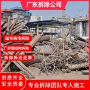 廣東廣州承接拆除工程/承接各種拆除