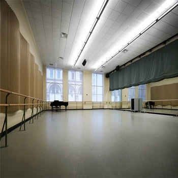 惠州籃球場地膠幼兒園大廳地膠室外籃球場地地膠