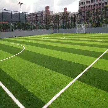 甘南足球場人造草坪幼兒園人造草坪市政圍擋草