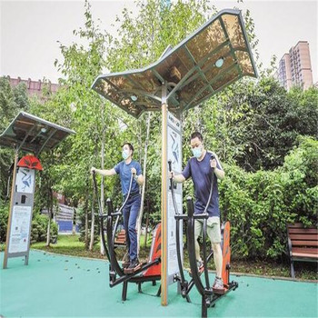 齊齊哈爾小區(qū)多功能器材公園健身設(shè)施雙人坐蹬秋千