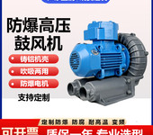 粉塵防爆高壓風機2.2KW變頻隔爆漩渦鼓風機CT4BT4真空式風機