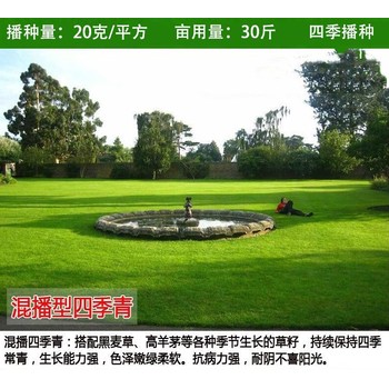 庭院小區(qū)適合種哪些草坪種子