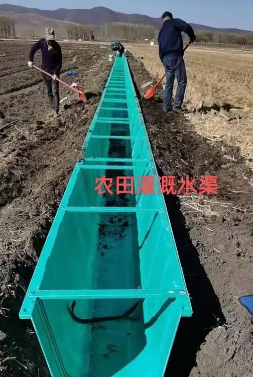 1748497574034292000-1.png@750w_750h_90Q