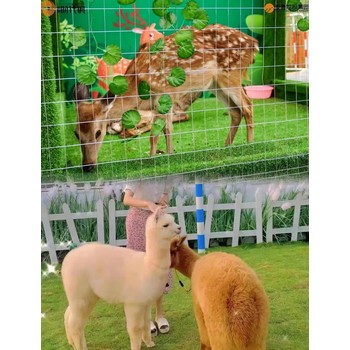 哪里有租賃動物展的貴州十一動物租賃費用