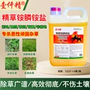 精草銨膦銨鹽安全環(huán)保，抗性雜草專殺，農(nóng)田果園管理