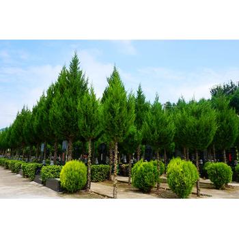 龍壽山公墓地址