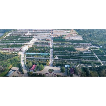 龍壽山公墓價格親民