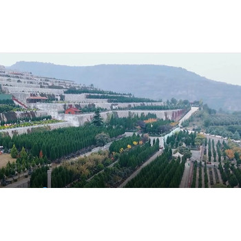 龍壽山公墓風(fēng)水