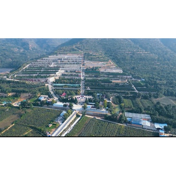 龍壽山公墓風(fēng)水