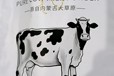 蒙帝乳業-3.15認證奶粉品牌生產商