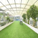 花都辦公司188方帶花園