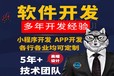 軟件開發系統開發小程序制作小程序開發小程序定制APP開發