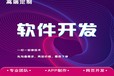 小程序開發APP開發網站開發網頁設計軟件系統開發公眾號制作