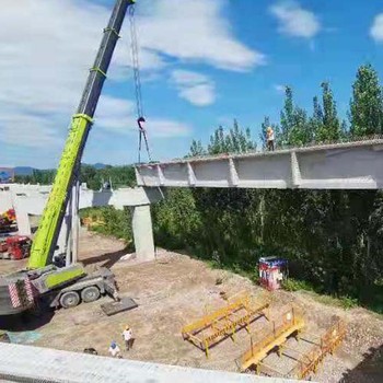 上海市吊車(chē)出租上海市高空車(chē)租賃履帶吊租賃
