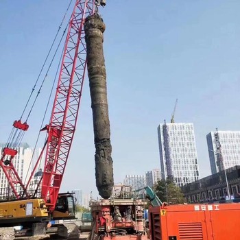 長島縣汽車吊租賃長島縣高空作業車出租移動式升降機出租