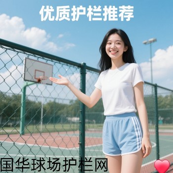 國(guó)華球場(chǎng)圍欄護(hù)欄網(wǎng)學(xué)校體育場(chǎng)圍欄網(wǎng)養(yǎng)殖場(chǎng)護(hù)欄網(wǎng)