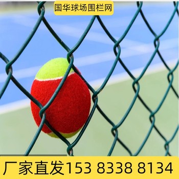 國華球場圍欄護(hù)欄網(wǎng)學(xué)校體育場圍欄網(wǎng)養(yǎng)殖場護(hù)欄網(wǎng)