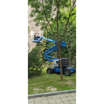 北京旭日揚(yáng)帆延慶6米剪叉升降機(jī)出租-32米電動(dòng)直臂出租-歡迎咨詢