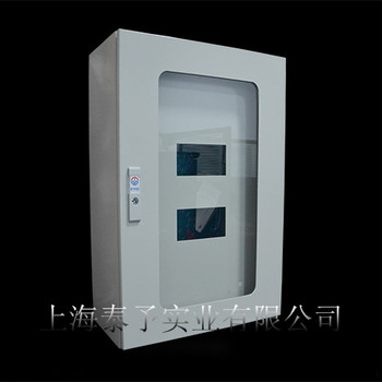 AE掛壁箱，不銹鋼款，全新仿威圖機柜！！！