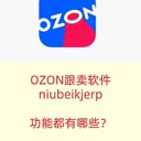 Ozon跟賣軟件有哪些功能？