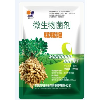 鶴壁微生物菌劑粒粒飽有機(jī)肥設(shè)備翻堆機(jī)
