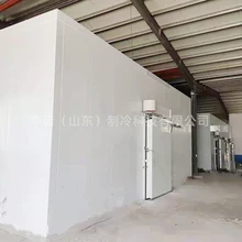 蔬菜水果保鮮庫(kù)肉類速凍庫(kù)各種組合式冷庫(kù)定制
