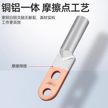 云牛DTS雙孔鍍錫銅鼻子DT釬焊銅鼻子銅接頭端子純紫銅鼻子線鼻子
