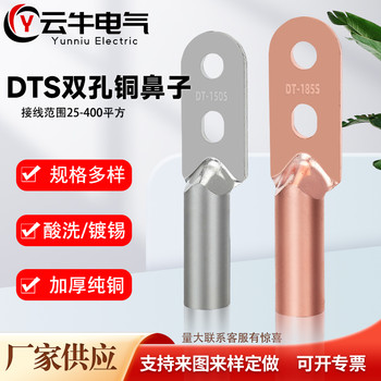 雙孔銅鼻子支持定/做全規(guī)格國標(biāo)DTS雙孔線鼻子孔徑大小中心孔距