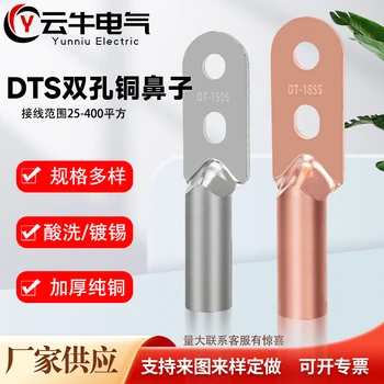 雙孔銅鼻子支持定/做全規(guī)格國標DTS雙孔線鼻子孔徑大小中心孔距