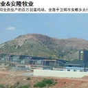 立體雞舍中央集蛋線