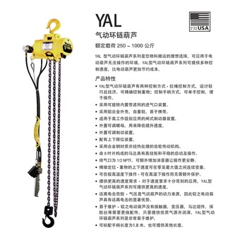 汽車行業(yè)輕小型起重機Yale電動葫蘆手拉葫蘆