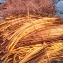 天津薊縣控制線回收經(jīng)驗夠實在-高壓電纜回收