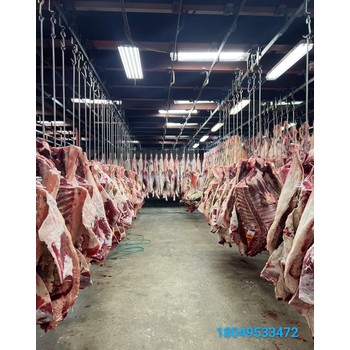澳大利亞屠宰場出國打工合法工簽購買保險包吃包住