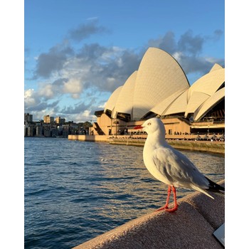 出國(guó)務(wù)工香港物流園大量崗位空缺合法工簽管吃住工資月結(jié)