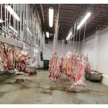 澳大利亞屠宰場出國打工合法工簽購買保險包吃包住