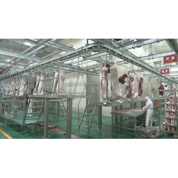 澳大利亞屠宰場出國打工合法工簽購買保險包吃包住