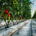 澳大利亞農(nóng)牧場雇主直簽包吃住月結(jié)工資合法工簽4年合同