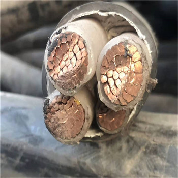 鐵東區(qū)遠(yuǎn)東成軸電纜回收_電力物資回收