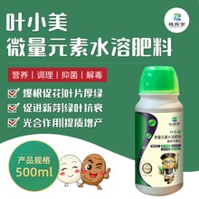 植揮官肥料微量元素水溶肥葉片黃化變綠強(qiáng)健樹勢(shì)生根壯苗圖片