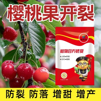 植揮官肥料中量元素水溶肥鈣鎂防裂果果皮硬度葉面肥葡萄圣女果