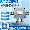 660V礦用電纜接線盒BHD2-40/660((380))-4G防爆四通認(rèn)證