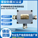 鑄鋼防爆接線盒660VBHD2-40/660(380)-3G礦用接線盒3T價(jià)格