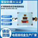 660V隔爆接線盒BHD2-25/660（380）-2G煤礦