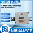 煤礦隔爆接線盒BHD2-40/660(380)-2G電纜接線盒