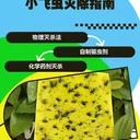 上海奉賢區(qū)別墅區(qū)除蟲滅鼠消殺酒店除四害