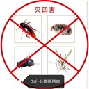 上?？焖偕祥T除四害天花板有老鼠怎么辦